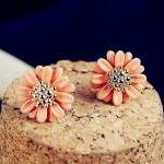 [grxjy530032]orange Flower..