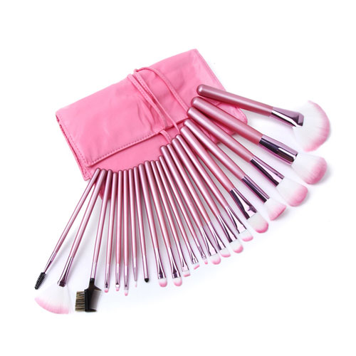 Professional Pink Cosmetic 22pcs Makeup Brush Set With Case